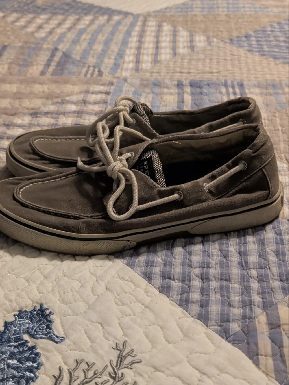 Sperry casual canvas